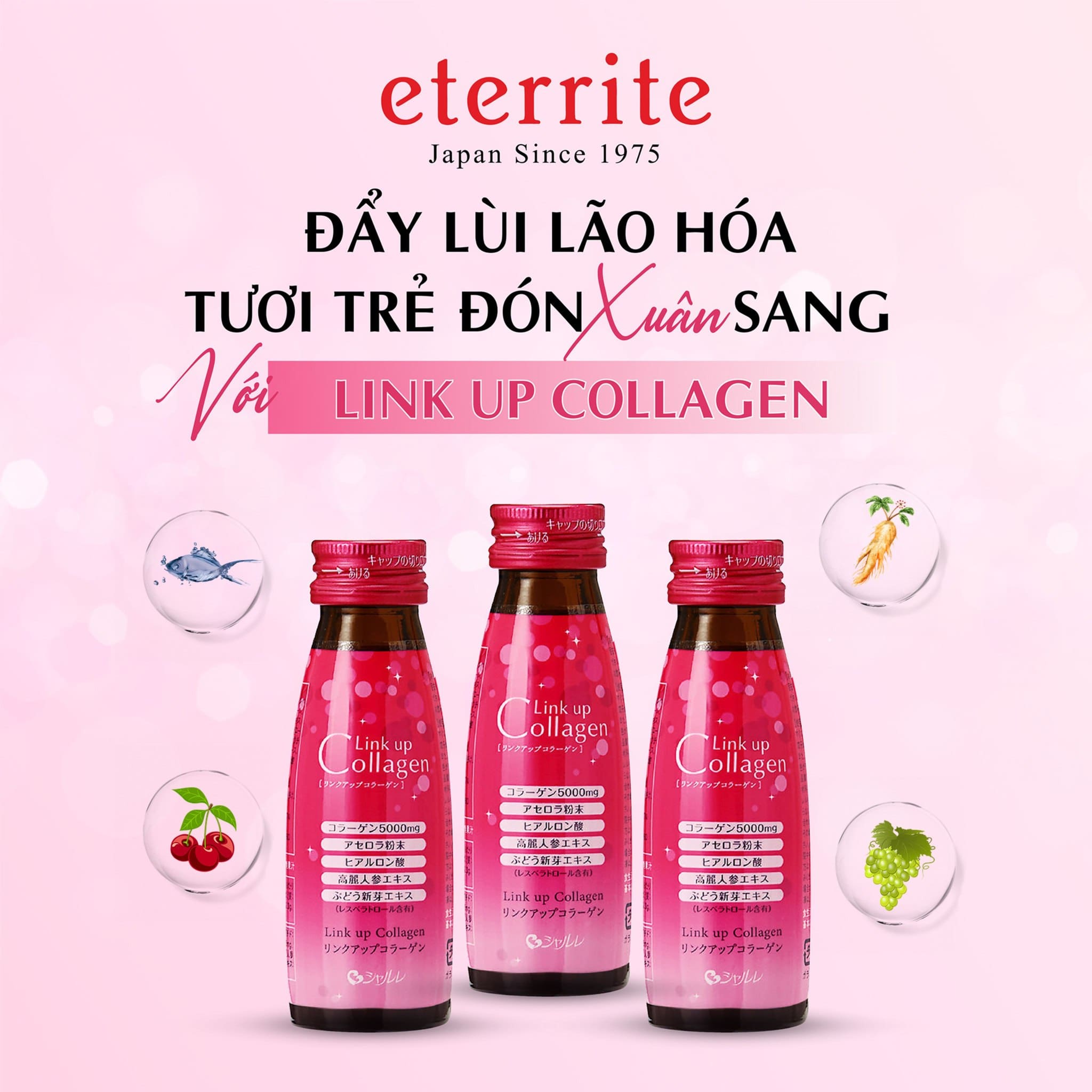 Nước Uống Collagen Làm Đẹp Da Và Ngăn Ngừa Lão Hóa Link Up Collagen